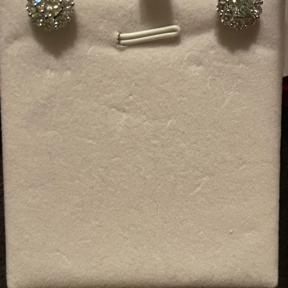 Earrings Cz